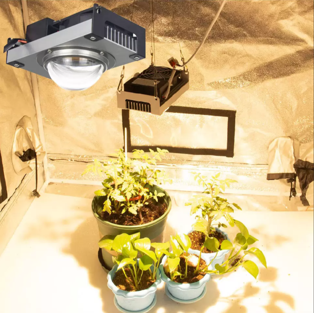 ※bus※　照明 Samsung Led Bitki Lambası 50W Full Spectrum LM283B + 3500K + 660nm