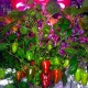400W Led Bitki Yetiştirme Lambası - Full Spectrum